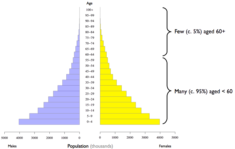 Population pyramid for a typical developing country