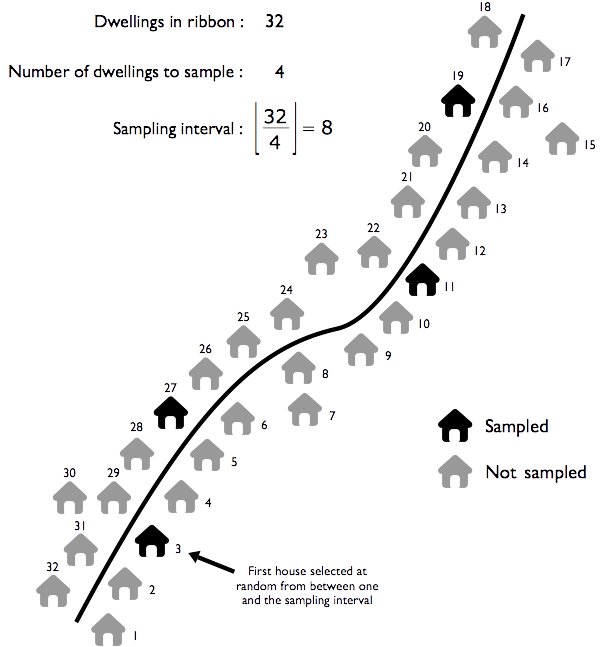 Systematic sampling in a ribbon segment