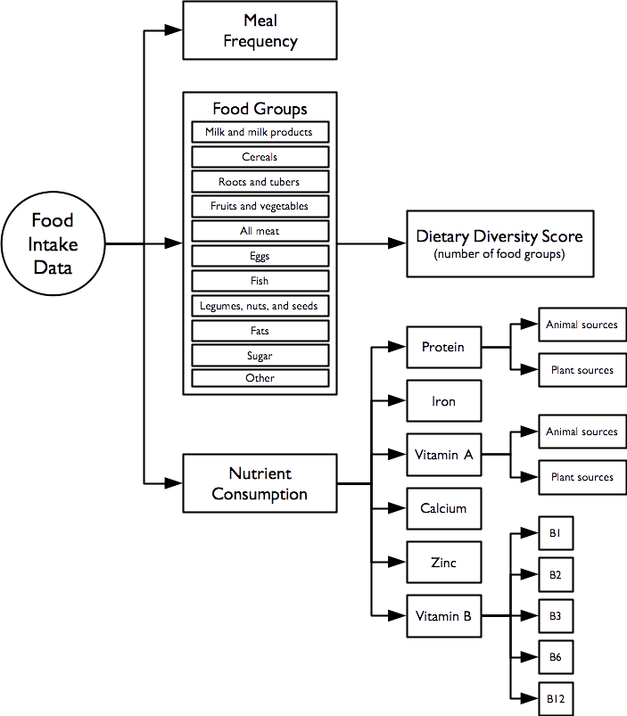 Diet-related indicators hierarchy