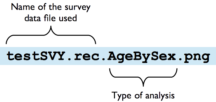 Filename structure of RAnalyticFlow outputs